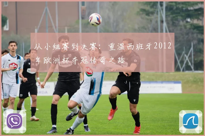从小组赛到决赛：重温西班牙2012年欧洲杯夺冠传奇之路