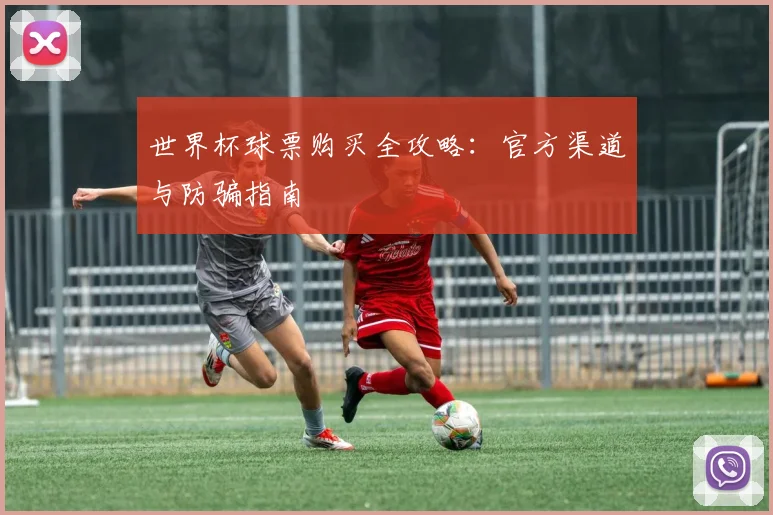 世界杯球票购买全攻略：官方渠道与防骗指南