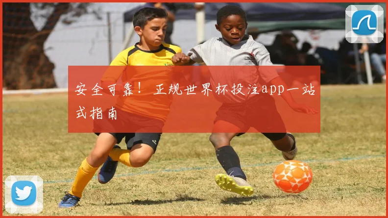安全可靠!正规世界杯投注app一站式指南