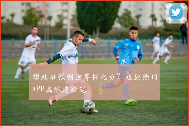 想精准预测世界杯比分？这款热门APP成球迷新宠