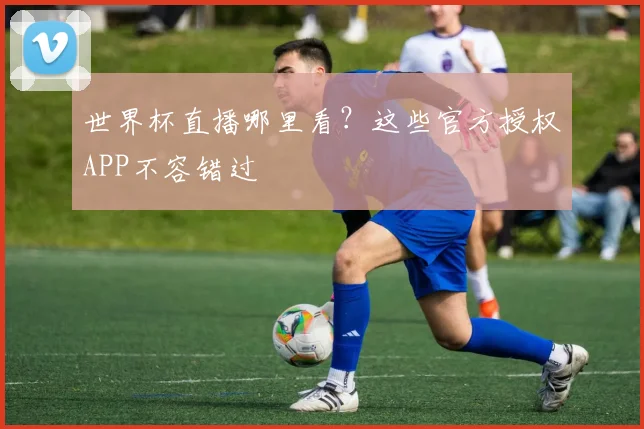 世界杯直播哪里看?这些官方授权APP不容错过