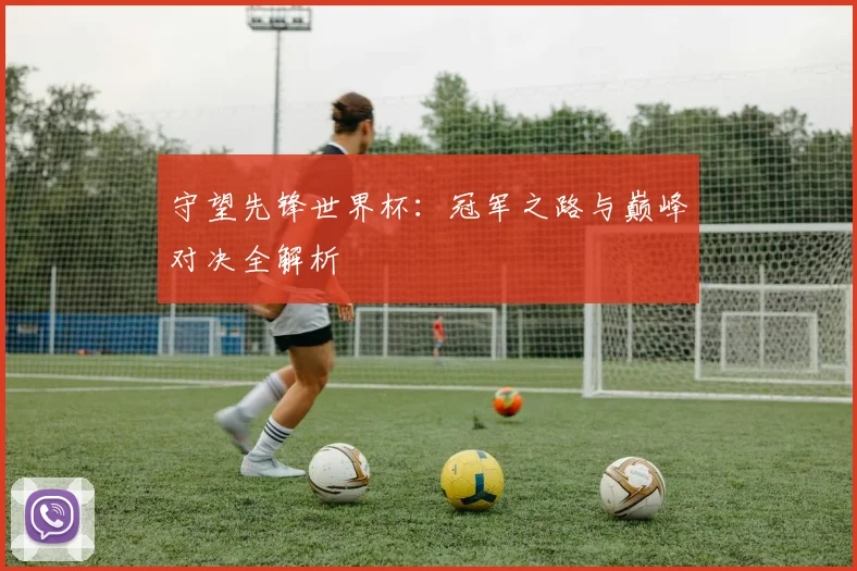 守望先锋世界杯:冠军之路与巅峰对决全解析