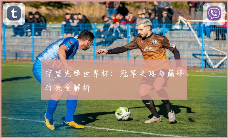 守望先锋世界杯:冠军之路与巅峰对决全解析