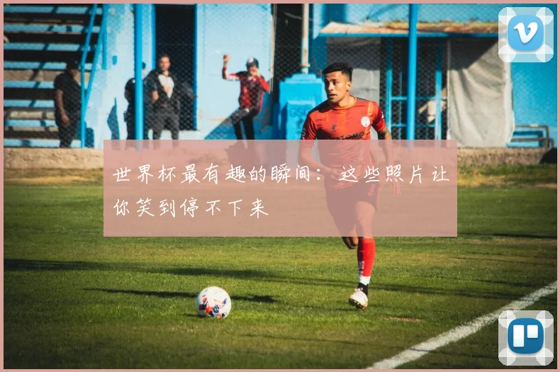 世界杯最有趣的瞬间：这些照片让你笑到停不下来