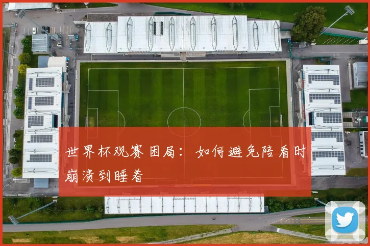 世界杯观赛困局：如何避免陪看时崩溃到睡着