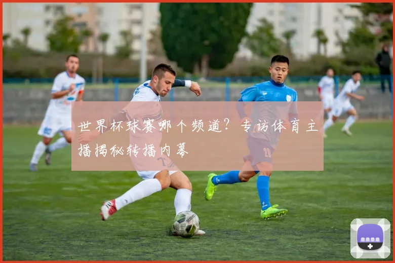 世界杯球赛哪个频道？专访体育主播揭秘转播内幕