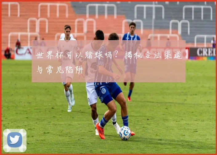 世界杯可以赌球吗？揭秘合法渠道与常见陷阱