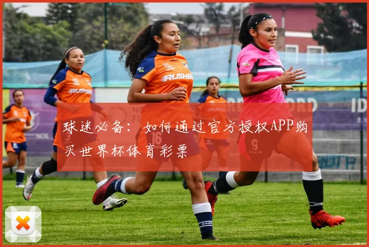 球迷必备：如何通过官方授权APP购买世界杯体育彩票